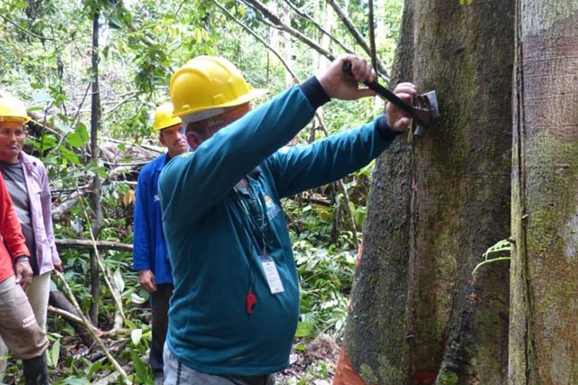 Sustentabilidade Ambiental